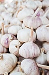 garlic