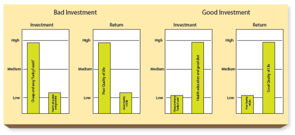 investment_chart - spring 2012