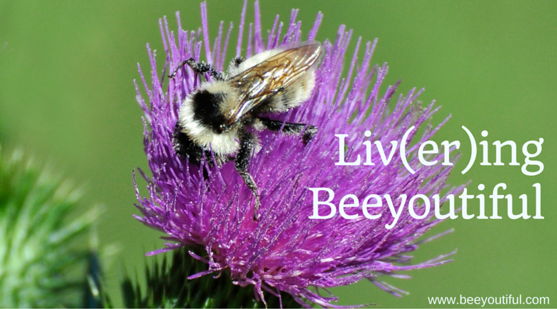 from the catalog archives Livering Beeyoutiful from Beeyoutiful.com