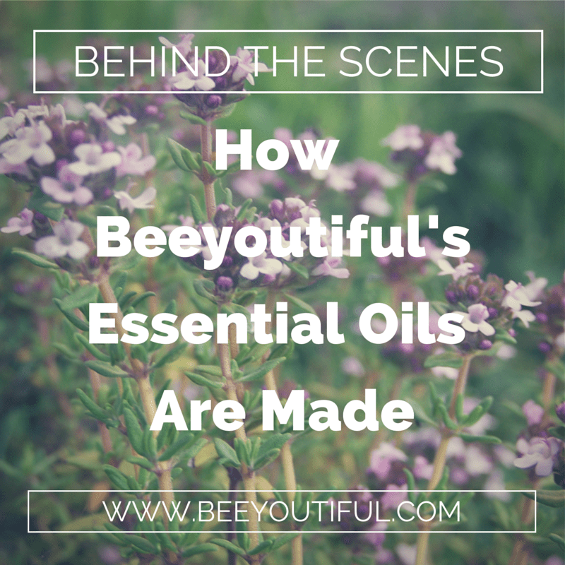 How Beeyoutiful's Essential Oils Are Made