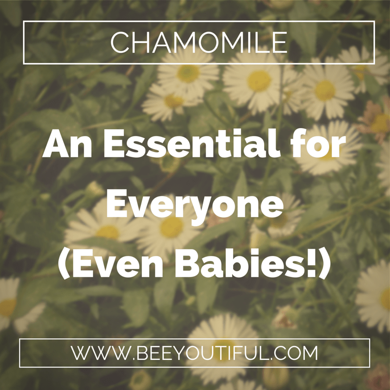 chamomile essential oil from Beeyoutifull.com