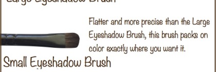 BeeyoutifulSkin Makeup Brushes