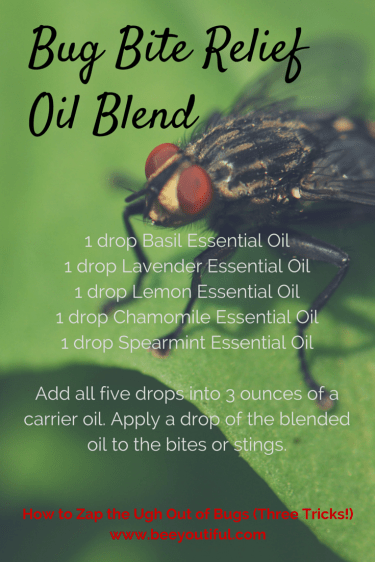 How to Zap the UGH Out of BUGS from Beeyoutiful.com