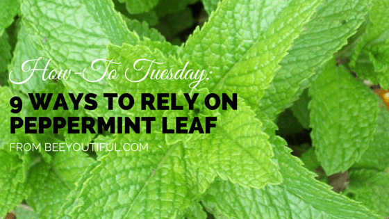 #HowToTuesday: 9 Ways to Rely On Peppermint Leaf from Beeyoutiful.com
