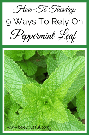 #HowToTuesday- 9 Ways to Rely On Peppermint Leaf from Beeyoutiful.com